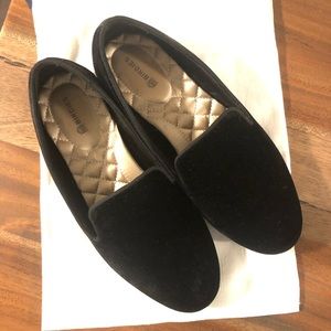 Birdies - The Starling (Black Velvet)